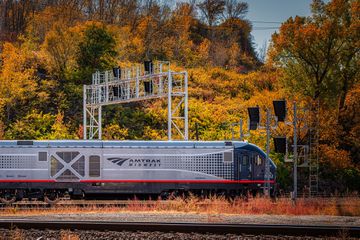 Amtrak driving past fall trees