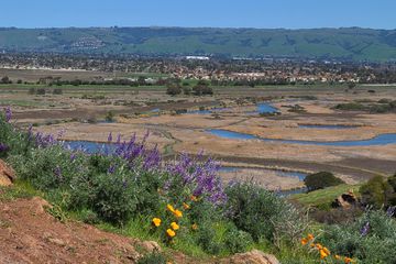 Coyote Hills Regional Park in Fremont, California