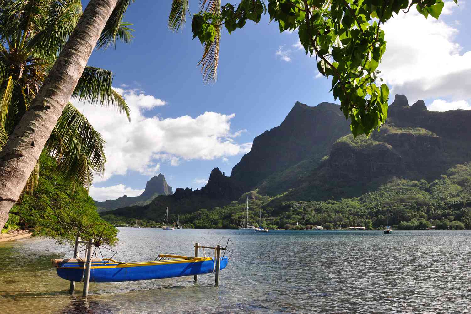 A canoe docked in Cook's Bay on Moorea