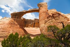 Sandstone rock arch with juniper trees in McInnis Canyons, Colorado